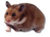 2386.jpg