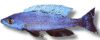 638.jpg